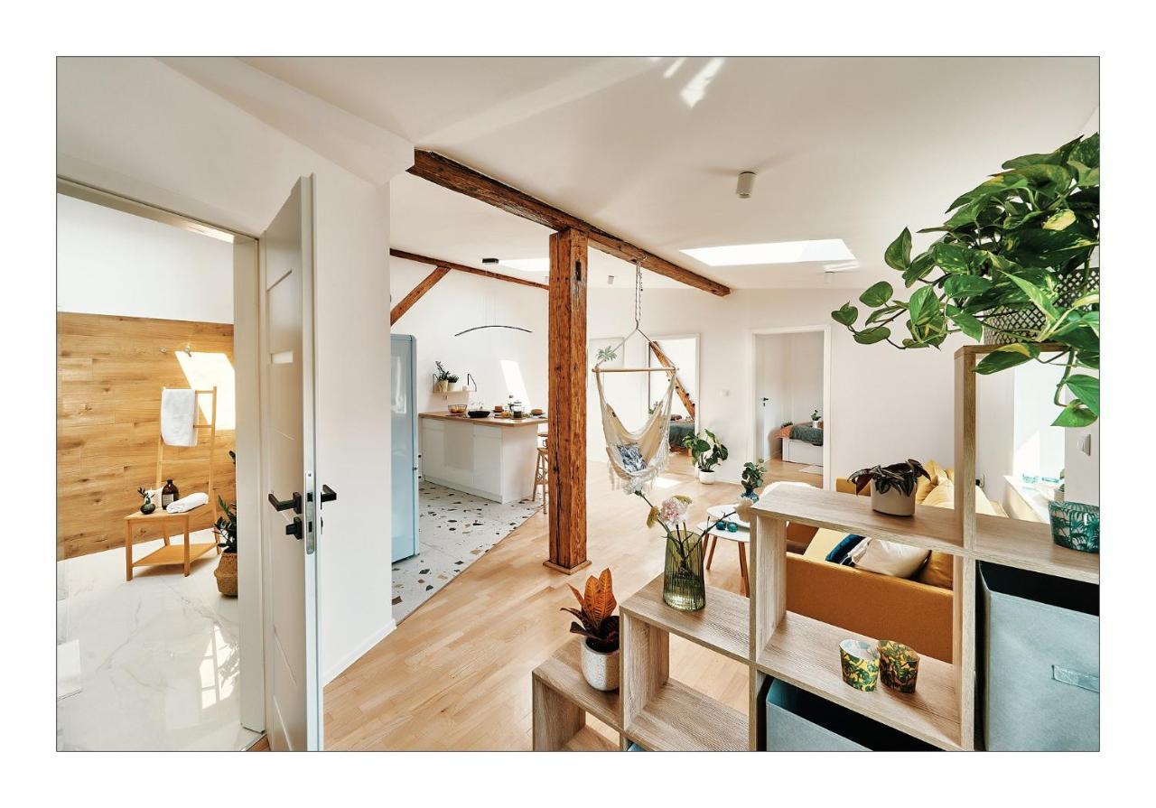 Sunny Apartment At The Heart Of Old Town Краків Екстер'єр фото